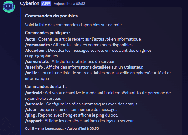 Aperçu du projet Cyberion